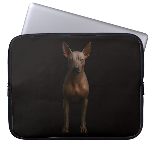 Black 4 Luxe Laptop Sleeve, Argentina Pila Dog Laptopschutzhülle (Vorderseite)