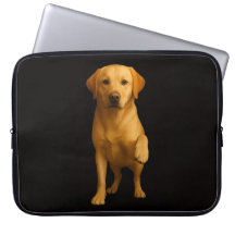 Black 4 Luxe Laptop Sleeve, Tender Labrador
