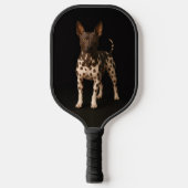 Black 4 Luxe Pickleball Paddle, Hairless Terrier Schläger (Vorderseite)