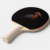 Black 4 Luxe ping pong paddle, Reddish Egret Tischtennis Schläger (Vorderseite)