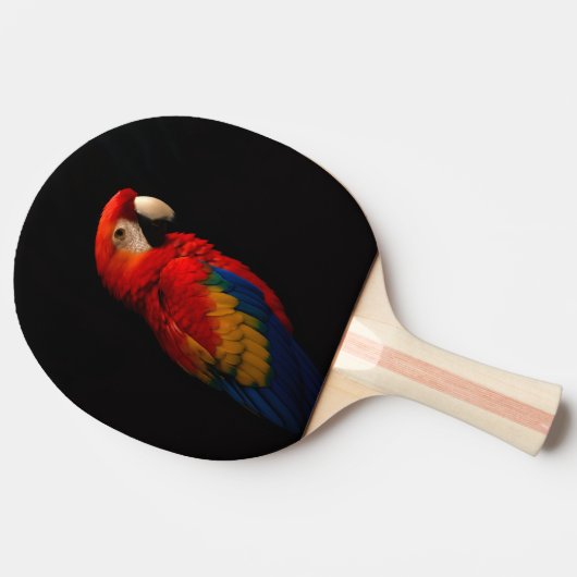 Black 4 Luxe Pingpong Paddle, Scarlet Parrot Tischtennis Schläger (Seitenansicht)