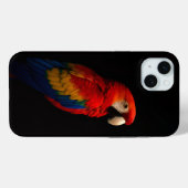 Black 4 Luxe, Scarlet Parrot Case-Mate iPhone Hülle (Rückseite (Horizontal))