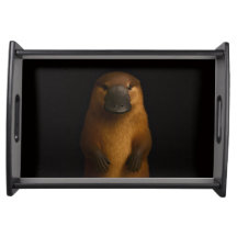 Black 4 Luxe serving tray, Elegant Platypus