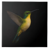 Black 4 Luxe Tile mit Flying Hummingbird Fliese (Vorderseite)