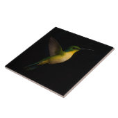 Black 4 Luxe Tile mit Flying Hummingbird Fliese (Seite)