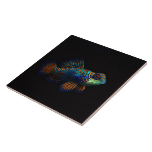 Black 4 Luxe Tile mit Mandarin Dragonet Fisch Fliese (Seite)
