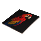 Black 4 Luxe Tile mit Scarlet Parrot Fliese (Seite)