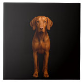Black 4 Luxe Tile with Agile Vizsla Dog Fliese (Vorderseite)