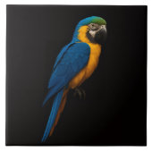 Black 4 Luxe Tile with Blue Yellow Macaw Fliese (Vorderseite)