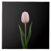 Black 4 Luxe Tile with Blush Pink Tulip Fliese (Vorderseite)