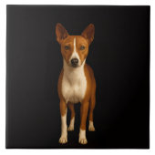 Black 4 Luxe Tile with Classy Basenji Dog Fliese (Vorderseite)