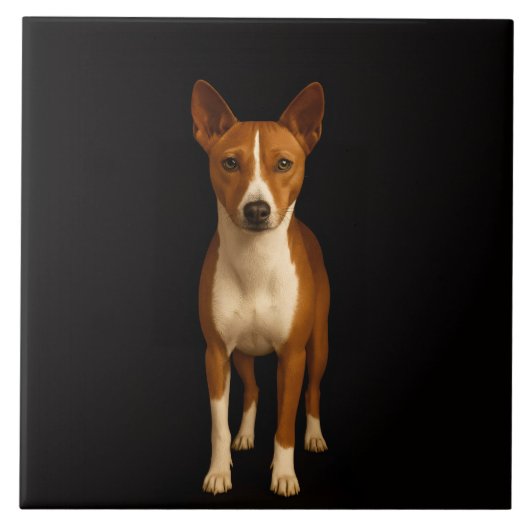 Black 4 Luxe Tile with Classy Basenji Dog Fliese (Vorderseite)