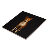 Black 4 Luxe Tile with Classy Basenji Dog Fliese (Seite)