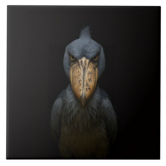 Black 4 Luxe Tile with Exotic Shoebill Bird Fliese (Vorderseite)