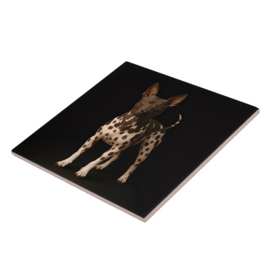 Black 4 Luxe Tile with Hairless Terrier Dog Fliese (Seite)