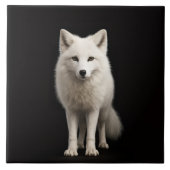 Black 4 Luxe Tile with Ivory Arctic Fox Fliese (Vorderseite)