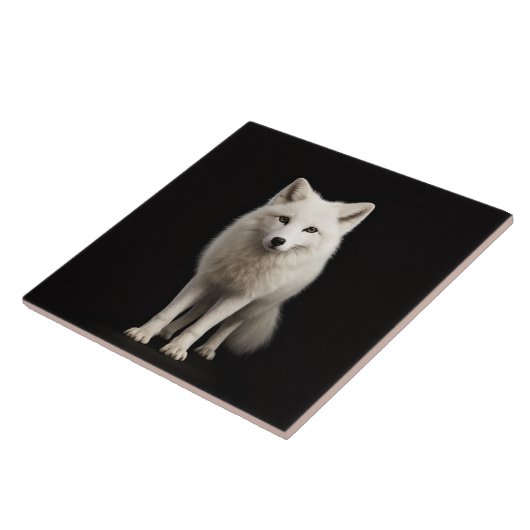 Black 4 Luxe Tile with Ivory Arctic Fox Fliese (Seite)