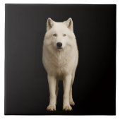 Black 4 Luxe Tile with Ivory Arctic Wolf Fliese (Vorderseite)