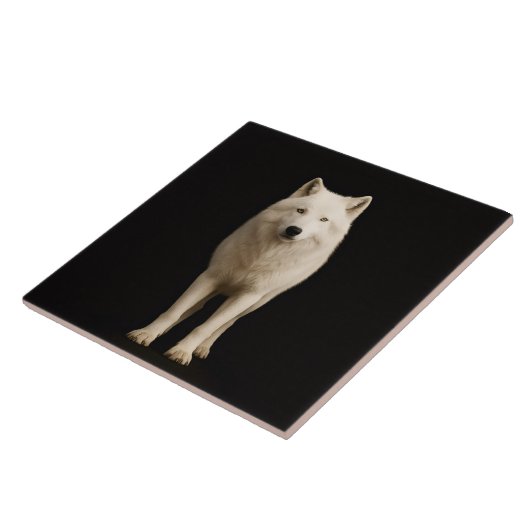 Black 4 Luxe Tile with Ivory Arctic Wolf Fliese (Seite)