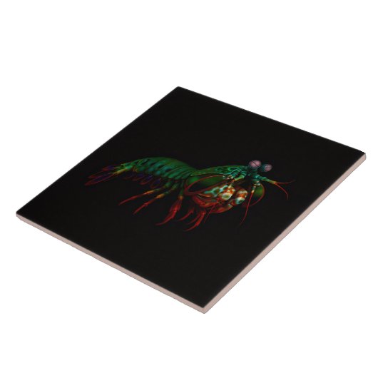 Black 4 Luxe Tile with Mantis Shrimp Fliese (Seite)