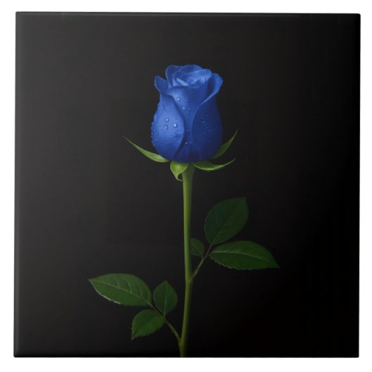 Black 4 Luxe Tile with Midnight Blue Rose Fliese (Vorderseite)