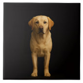 Black 4 Luxe Tile with Minimalist Labrador Fliese (Vorderseite)