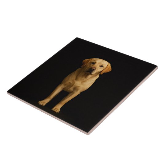 Black 4 Luxe Tile with Minimalist Labrador Fliese (Seite)