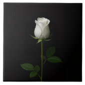 Black 4 Luxe Tile with Pure White Rose Fliese (Vorderseite)