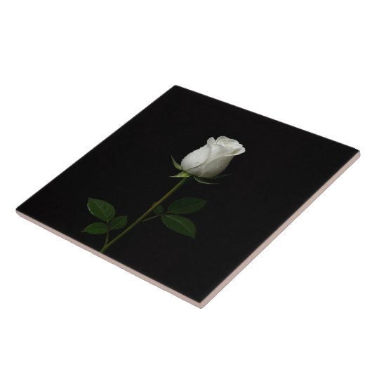 Black 4 Luxe Tile with Pure White Rose Fliese (Seite)