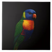Black 4 Luxe Tile with Rainbow Lorikeet Parrot Fliese (Vorderseite)