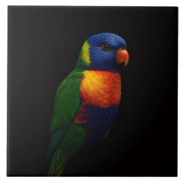 Black 4 Luxe Tile with Rainbow Lorikeet Parrot Fliese