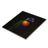 Black 4 Luxe Tile with Rainbow Lorikeet Parrot Fliese (Seite)