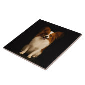 Black 4 Luxe Tile with Refined Toy Papillon Fliese (Seite)