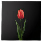 Black 4 Luxe Tile with Ruby Red Tulip Fliese (Vorderseite)