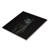 Black 4 Luxe Tile with Russian Blue Cat Fliese (Seite)