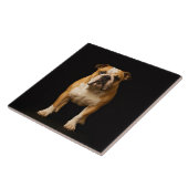 Black 4 Luxe Tile with Stamina Bulldog Fliese (Seite)