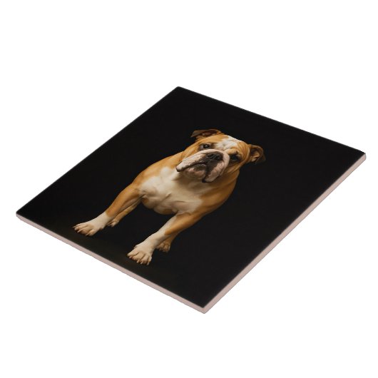 Black 4 Luxe Tile with Stamina Bulldog Fliese (Seite)