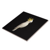 Black 4 Luxe Tile with Sulphur Crested Cockatoo Fliese (Seite)