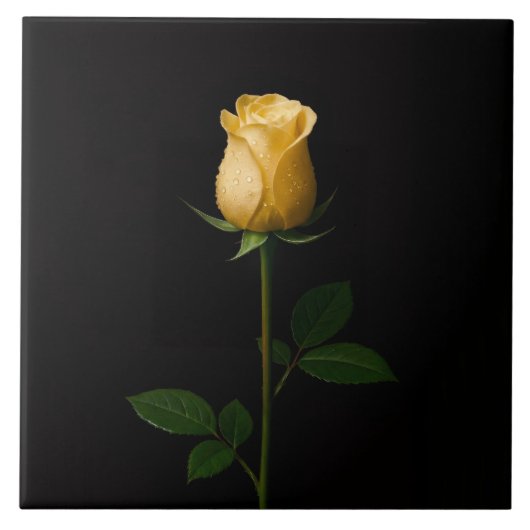Black 4 Luxe Tile with Sunlit Yellow Rose Fliese (Vorderseite)