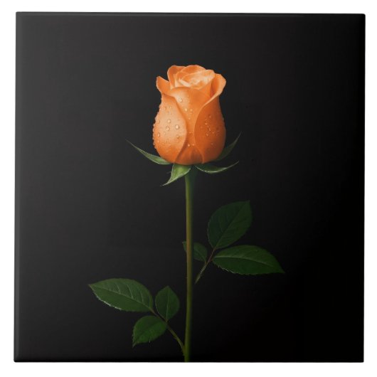 Black 4 Luxe Tile with Sunset Orange Rose Fliese (Vorderseite)