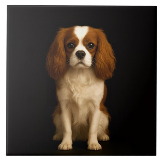 Black 4 Luxe Tile with Sweet Cavalier Spaniel Fliese (Vorderseite)