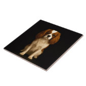 Black 4 Luxe Tile with Sweet Cavalier Spaniel Fliese (Seite)