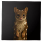 Black 4 Luxe Tile with Sweet Quoll Fliese (Vorderseite)