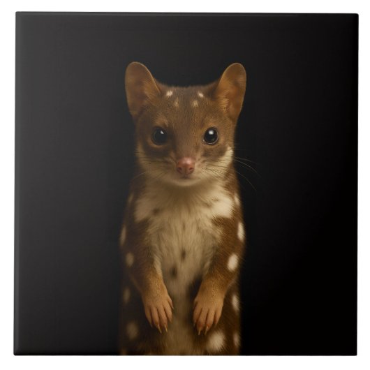 Black 4 Luxe Tile with Sweet Quoll Fliese (Vorderseite)