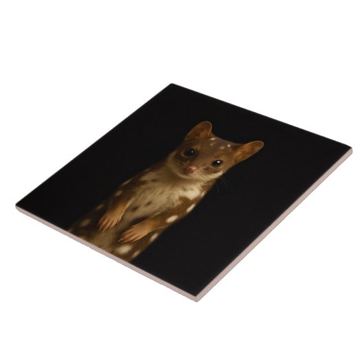 Black 4 Luxe Tile with Sweet Quoll Fliese (Seite)