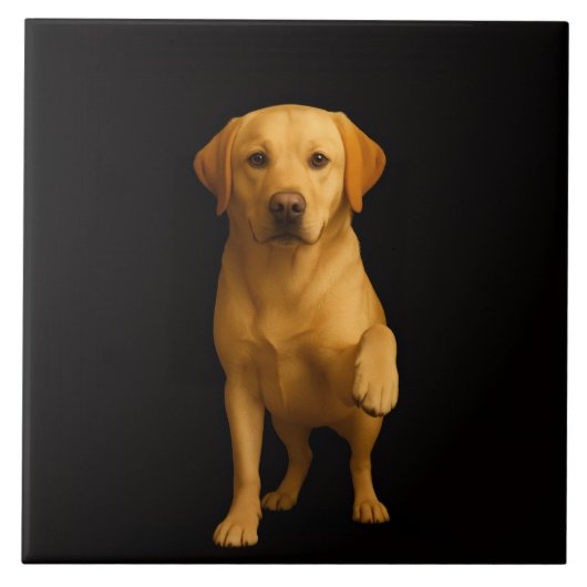 Black 4 Luxe Tile with Tender Labrador Fliese (Vorderseite)