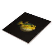 Black 4 Luxe Tile with Yellow Putterfish Fliese (Seite)