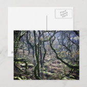 Black a Tor Copse, Dartmoor, Devon, United Postkarte (Vorne/Hinten)