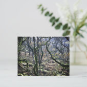 Black a Tor Copse, Dartmoor, Devon, United Postkarte (Stehend Vorderseite)