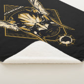 Black Adam | Hawkman Helmet Graphic Sherpadecke (3/4)